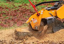Best Tree Maintenance Programs  in Minturn, CO